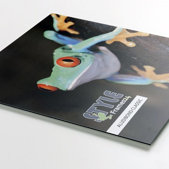 Praxisschild Werbeschild freistehend mit Dibond Butlerfinish